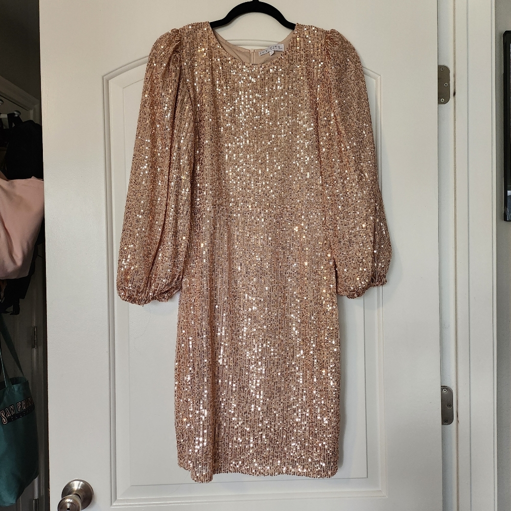 Ivy city co dress